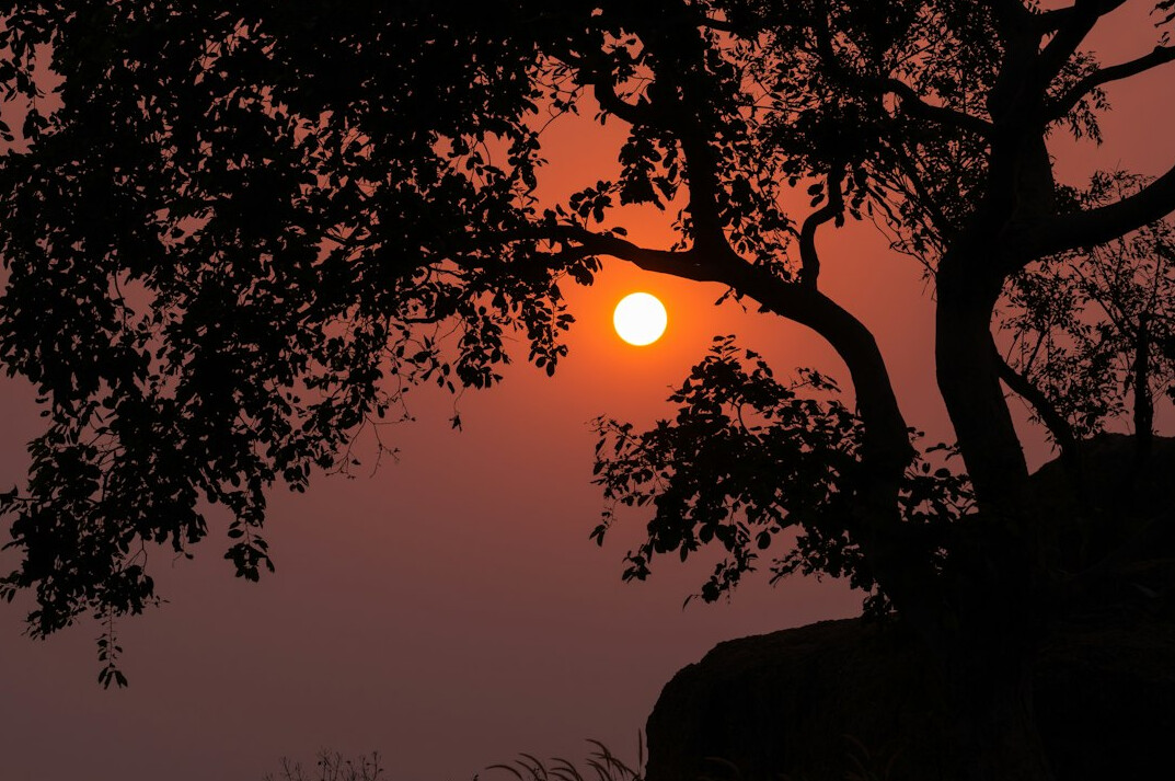 golden hour photography